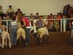 Giddy up!