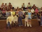 Bah, Ram, Ewe!