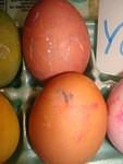 Timmy's eggs!