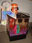 Flat Stanley!