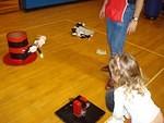 Oh my gosh.  I thought they outlawed cat tossing??