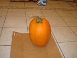 Pumpkins 2008