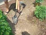 I can't wait until the kids are old enough to dig their own holes :)