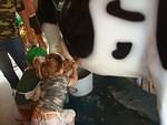 Moooo!