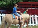 Elijah had the big pony!