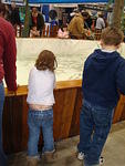 2009