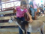 Good goat!