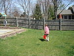 It's hard to find eggs in a yard with dandelions!