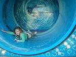 Every dirty little k-town kid tromped their shut stompers through it....