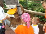 Davy, Davy Crockett!
