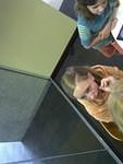 Center-20110528-00227.jpg
