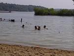 IMG-20110730-00056.jpg