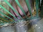 IMG-20110806-00117.jpg