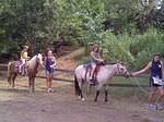 Washington-20110806-00129.jpg