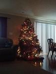 2012-12-26 10-26-08 500