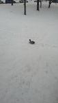 2013-01-01 12-22-54 21