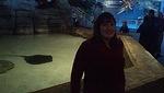 2013-01-26 15-52-55 81