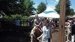 IMG 20130804 130140 540