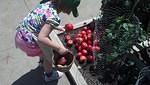 IMG 20130804 131956 891