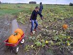 IMG-20141016-00241